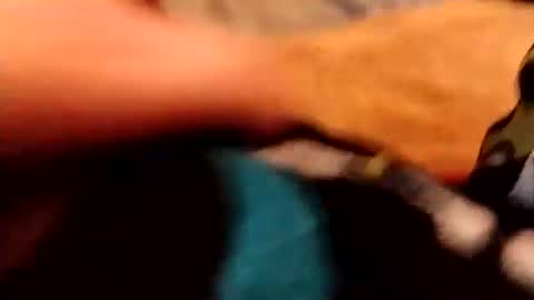 hardandhorny422 online show from December 4, 2025, 3:54 pm