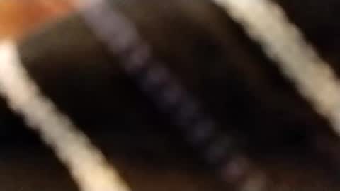 hardandhorny422 online show from February 12, 2026, 3:51 pm