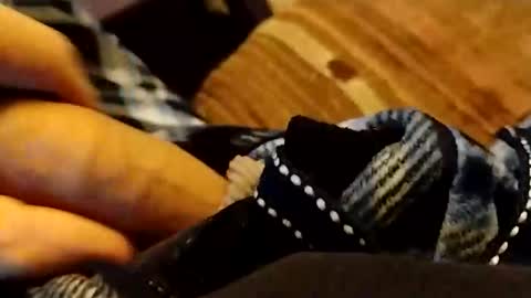 hardandhorny422 online show from April 12, 2026, 6:35 pm