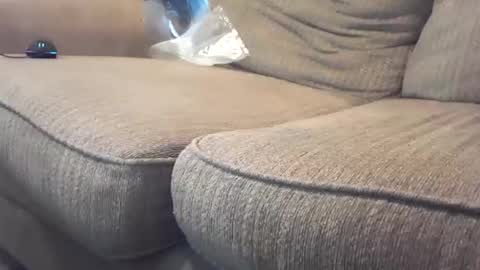 hardcock2share online show from February 4, 2025, 10:55 pm