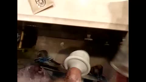 hardforu8675 online show from April 13, 2026, 2:00 pm