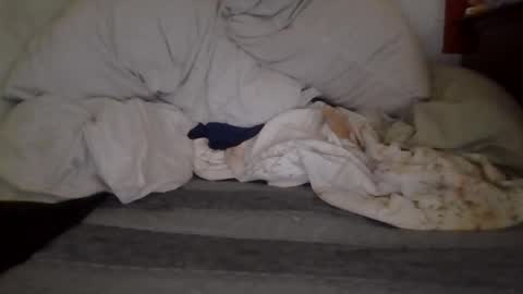 harry1cannary online show from October 7, 2025, 8:22 am