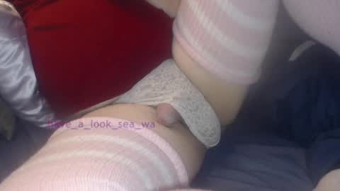 Snapshot of have_a_look_sea_wa chatting on December 19, 2024, 4:45 am have_a_look_sea_wa online show from December 19, 2024, 4:45 am