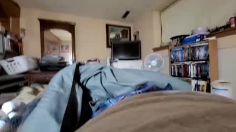 hawkfan1888 online show from January 2, 2025, 1:27 am