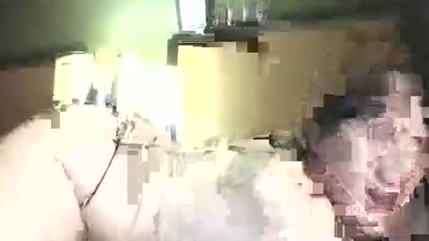 hazelbasil32728 online show from October 31, 2025, 11:39 pm