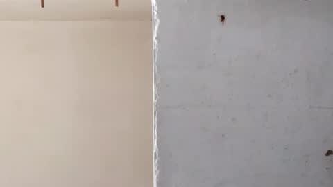 heaven_07 online show from March 16, 2026, 11:36 am