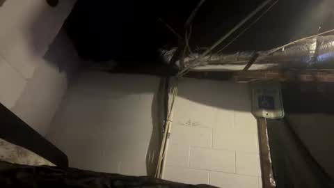 hellbillyboy336 online show from November 26, 2025, 9:43 am