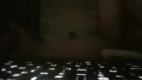 WhoMe online show from February 6, 2025, 9:43 am