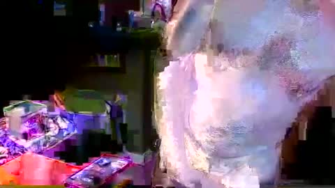 Snapshot of herb60657 chatting on November 4, 2025, 1:54 pm herb60657 online show from November 4, 2025, 1:54 pm