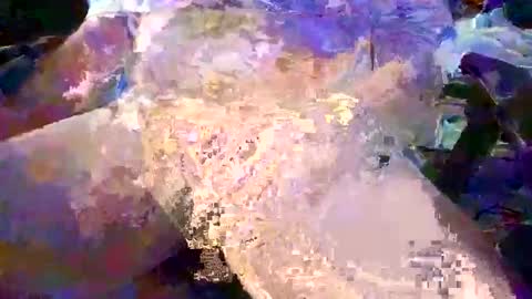 herletigre12345 online show from October 26, 2025, 2:39 am