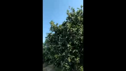 heterooli online show from March 29, 2026, 4:29 pm