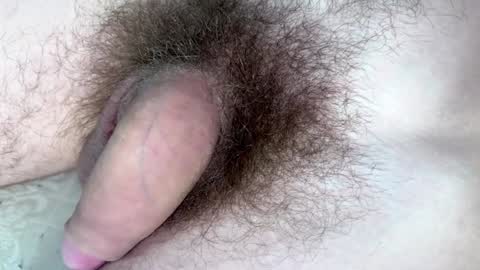 Arnold online show from January 29, 2025, 9:17 pm