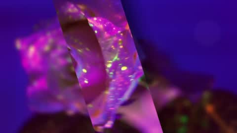 Alina online show from January 19, 2025, 7:26 pm