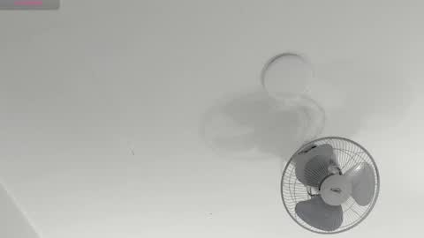 hilary_tailor online show from January 14, 2026, 12:44 pm