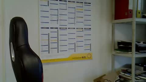 hippo online show from December 2, 2024, 9:56 am