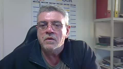 hippo online show from December 11, 2024, 3:37 pm