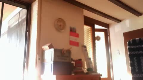 hofnung online show from May 23, 2026, 5:28 pm