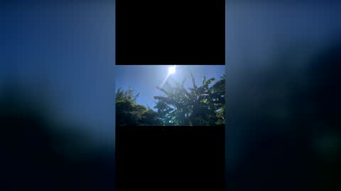 Snapshot of holabonaerense chatting on February 7, 2026, 6:44 pm Bonaerense online show from February 7, 2026, 6:44 pm