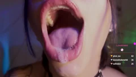 holly online show from February 3, 2026, 5:40 pm