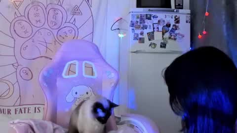 Ho Lee Sheet online show from January 18, 2026, 6:23 pm