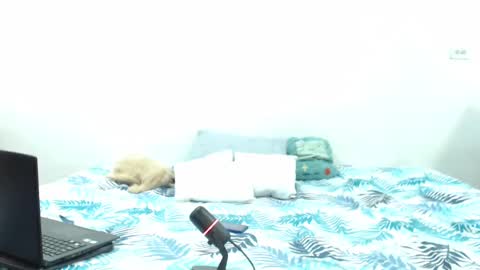 Snapshot of holycode chatting on February 2, 2025, 10:57 am Holycode online show from February 2, 2025, 10:57 am