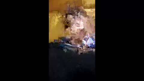 Snapshot of homer1234567890 chatting on March 26, 2026, 7:03 am homer1234567890 online show from March 26, 2026, 7:03 am