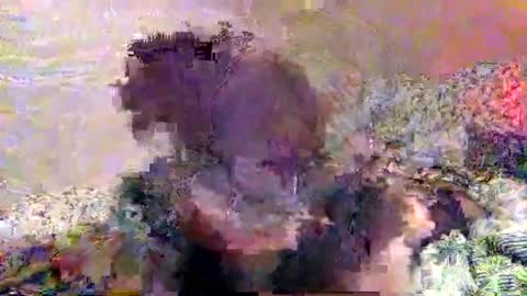 Snapshot of hometownwitch chatting on November 25, 2025, 6:19 pm hometownwitch online show from November 25, 2025, 6:19 pm