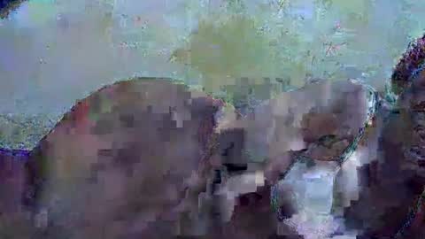 Snapshot of honey_sunshiny chatting on February 3, 2026, 6:51 am honey_sunshiny online show from February 3, 2026, 6:51 am