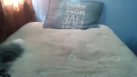 Snapshot of honeybut72uwu chatting on September 19, 2025, 9:59 pm Honeybut72 online show from September 19, 2025, 9:59 pm