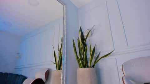 Honey Moon  Help me to reach 100 thumbs up online show from February 17, 2025, 10:47 pm