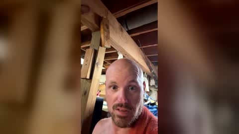 hopper_in_joyce online show from May 14, 2026, 11:06 am
