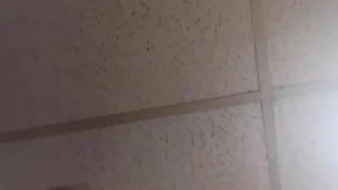 Dominick Subversal online show from February 20, 2026, 2:06 pm