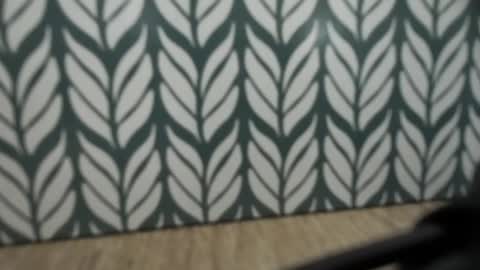 Jan online show from January 4, 2025, 8:49 am