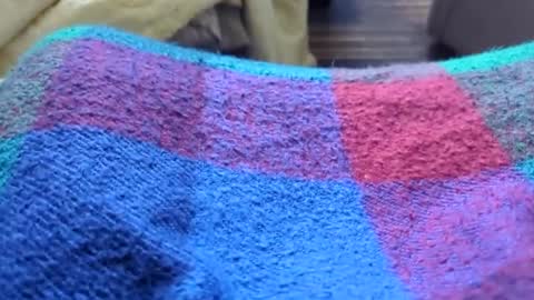 Tiny cock online show from January 11, 2026, 10:26 pm