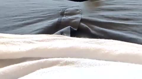 Tiny cock online show from April 25, 2026, 6:05 pm