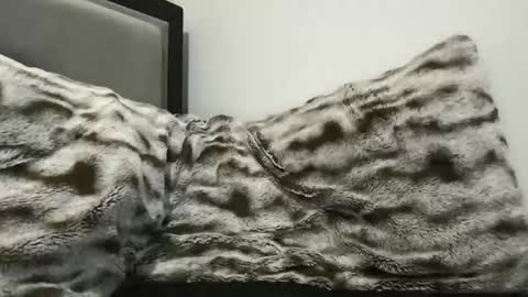 cumsh0tking online show from November 3, 2025, 1:40 am