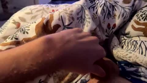 hot_for_you_ online show from November 23, 2025, 1:49 am