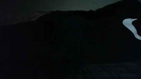 Bitch for abuse online show from February 15, 2026, 9:33 pm