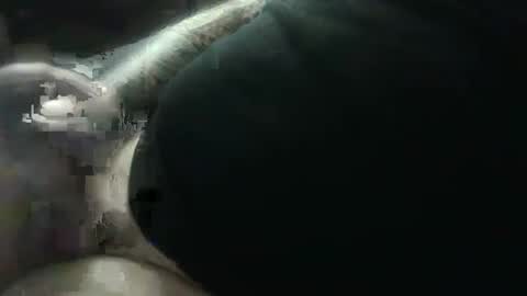 hotcream259 online show from January 9, 2025, 3:04 am