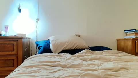 Lili Vixen online show from February 4, 2025, 4:48 am