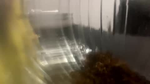 howarudoing online show from October 5, 2025, 1:59 am