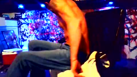 ask me online show from February 12, 2025, 12:22 pm