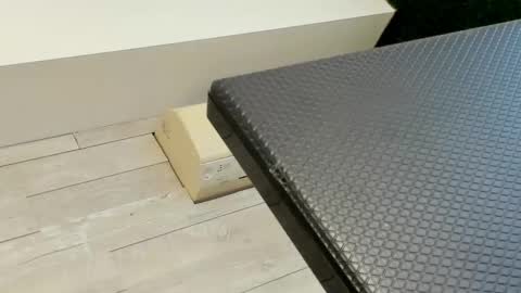 Erin online show from March 3, 2025, 7:32 am