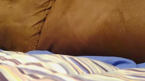 BigFTMdick online show from December 9, 2024, 6:01 am