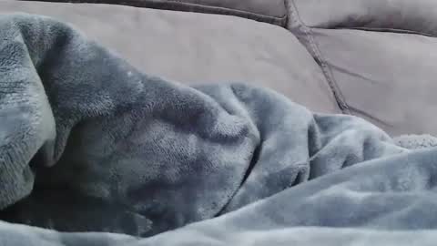 BigFTMdick online show from December 24, 2024, 10:28 pm