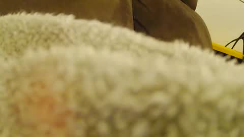 BigFTMdick online show from January 6, 2025, 4:26 am