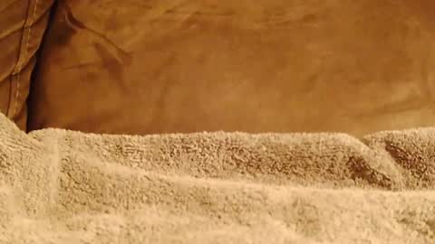 BigFTMdick online show from January 8, 2025, 6:41 am