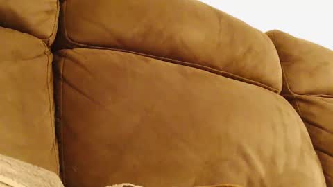 BigFTMdick online show from January 30, 2025, 4:06 am