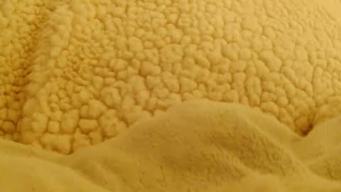 BigFTMdick online show from February 4, 2025, 5:53 am