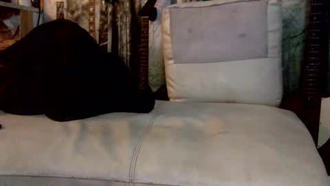 huippari online show from December 8, 2024, 10:30 am